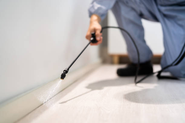 Licensed Termite Control service in Lincoln, AR - Nex Pest Control