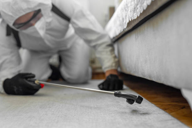 Professional Termite Control technician working in Lincoln, AR