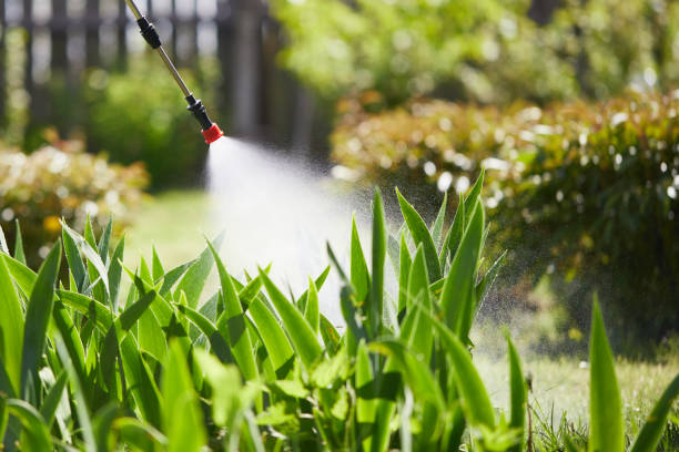 24/7 Emergency Termite Control experts in Lincoln, AR